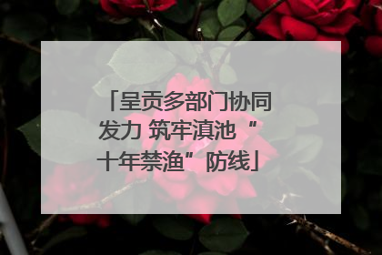呈贡多部门协同发力 筑牢滇池“十年禁渔”防线