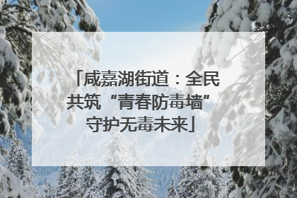 咸嘉湖街道：全民共筑“青春防毒墙” 守护无毒未来