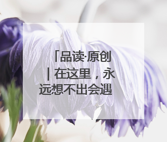 品读·原创｜在这里，永远想不出会遇到什么动物