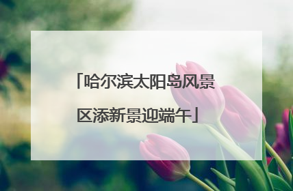 哈尔滨太阳岛风景区添新景迎端午