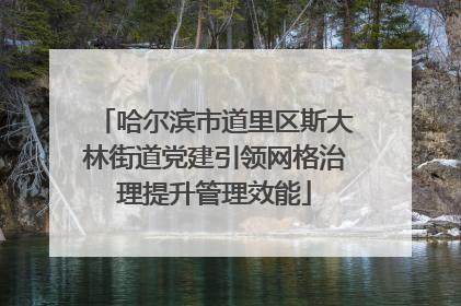 哈尔滨市道里区斯大林街道党建引领网格治理提升管理效能