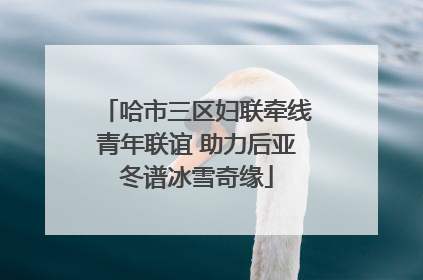 哈市三区妇联牵线青年联谊 助力后亚冬谱冰雪奇缘
