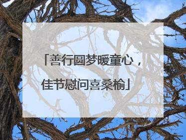善行圆梦暖童心，佳节慰问喜桑榆