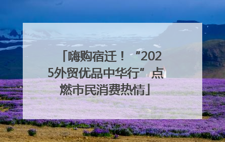 嗨购宿迁！“2025外贸优品中华行”点燃市民消费热情