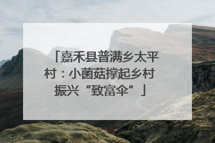 嘉禾县普满乡太平村：小菌菇撑起乡村振兴“致富伞”