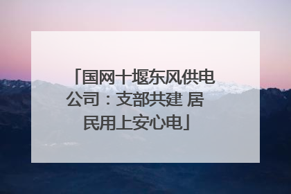 国网十堰东风供电公司：支部共建 居民用上安心电