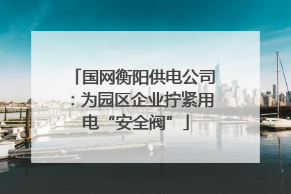 国网衡阳供电公司：为园区企业拧紧用电“安全阀”