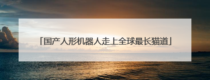 国产人形机器人走上全球最长猫道