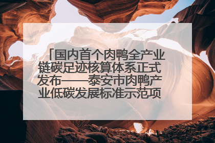国内首个肉鸭全产业链碳足迹核算体系正式发布——泰安市肉鸭产业低碳发展标准示范项目顺利通过验收