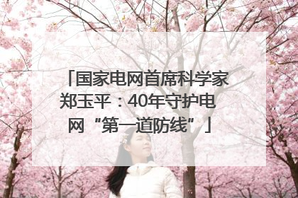 国家电网首席科学家郑玉平：40年守护电网“第一道防线”
