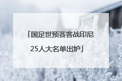 国足世预赛客战印尼25人大名单出炉