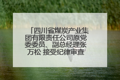 四川省煤炭产业集团有限责任公司原党委委员、副总经理张万松 接受纪律审查和监察调查