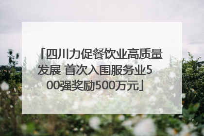 四川力促餐饮业高质量发展 首次入围服务业500强奖励500万元