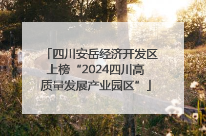 四川安岳经济开发区上榜“2024四川高质量发展产业园区”