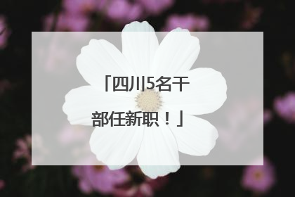 四川5名干部任新职！