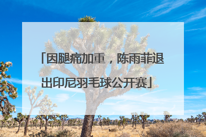 因腿痛加重，陈雨菲退出印尼羽毛球公开赛