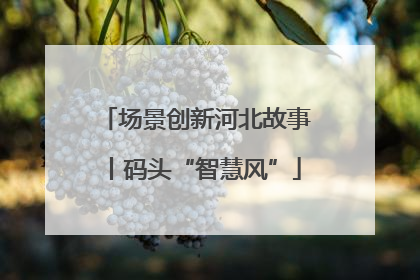 场景创新河北故事丨码头“智慧风”