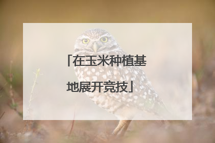 在玉米种植基地展开竞技