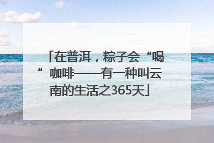 在普洱，粽子会“喝”咖啡——有一种叫云南的生活之365天