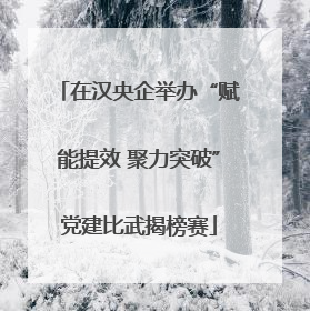 在汉央企举办“赋能提效 聚力突破”党建比武揭榜赛