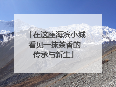 在这座海滨小城 看见一抹茶香的传承与新生