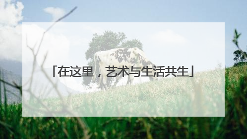 在这里，艺术与生活共生