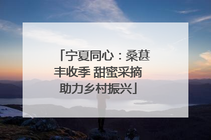 宁夏同心：桑葚丰收季 甜蜜采摘助力乡村振兴