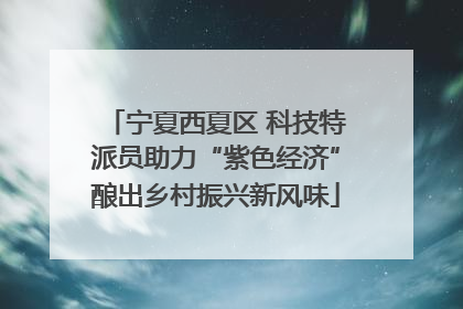 宁夏西夏区 科技特派员助力“紫色经济”酿出乡村振兴新风味