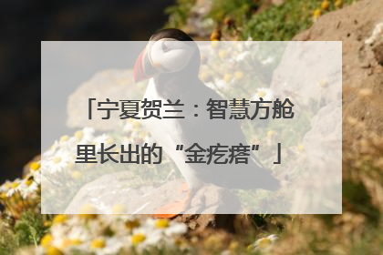 宁夏贺兰：智慧方舱里长出的“金疙瘩”