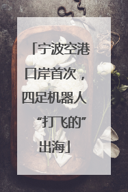 宁波空港口岸首次，四足机器人“打飞的”出海