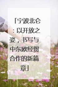 宁波北仑：以开放之姿，书写与中东欧经贸合作的新篇章