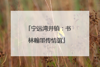 宁远湾井镇：书林翰墨传情谊