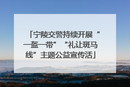 宁陵交警持续开展“一盔一带”“礼让斑马线”主题公益宣传活