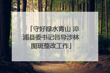 守好绿水青山 漳浦县委书记督导涉林图斑整改工作