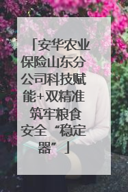 安华农业保险山东分公司科技赋能+双精准 筑牢粮食安全“稳定器”