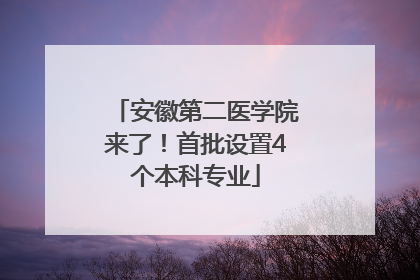 安徽第二医学院来了！首批设置4个本科专业