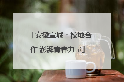 安徽宣城：校地合作 澎湃青春力量
