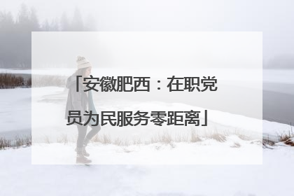 安徽肥西：在职党员为民服务零距离