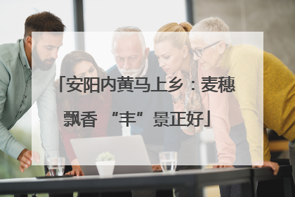 安阳内黄马上乡：麦穗飘香 “丰”景正好