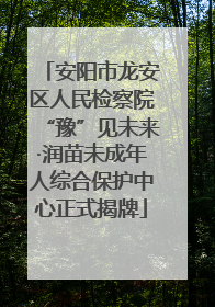 安阳市龙安区人民检察院“豫”见未来·润苗未成年人综合保护中心正式揭牌