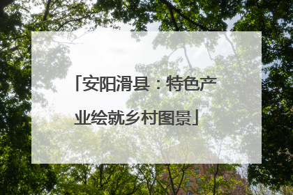 安阳滑县：特色产业绘就乡村图景