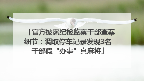 官方披露纪检监察干部查案细节：调取停车记录发现3名干部假“办事”真麻将