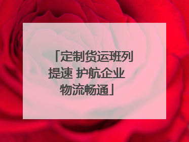 定制货运班列提速 护航企业物流畅通