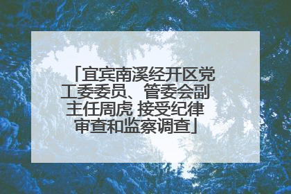 宜宾南溪经开区党工委委员、管委会副主任周虎 接受纪律审查和监察调查