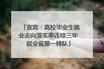 宜宾：高校毕业生就业去向落实率连续三年居全省第一梯队