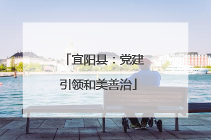 宜阳县：党建引领和美善治