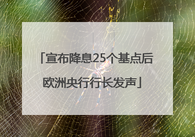 宣布降息25个基点后 欧洲央行行长发声