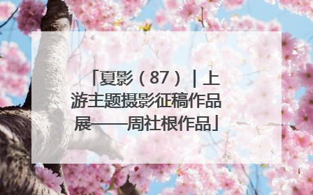 夏影（87）｜上游主题摄影征稿作品展——周社根作品