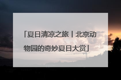 夏日清凉之旅丨北京动物园的奇妙夏日大赏