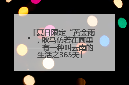 夏日限定“黄金雨”，耿马仿若在画里——有一种叫云南的生活之365天